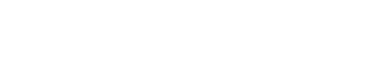 The Irish Times